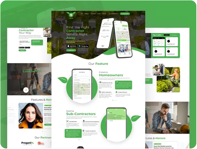 Web Portfolio 7